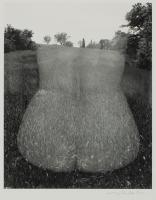 Example of work by the artist by Harry Callahan - Auction record, sale price, and art valuation. Compare with similar artists and explore comparable artworks.
